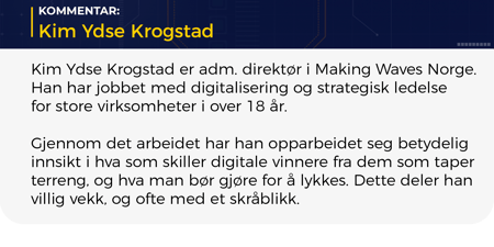 Digitalt-lederksapboks-stor_versjon2-kim-krogstad-1