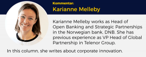 Karianne Melleby, Lederblikk