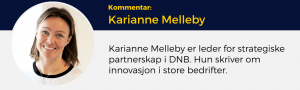 Karianne Melleby, DNB