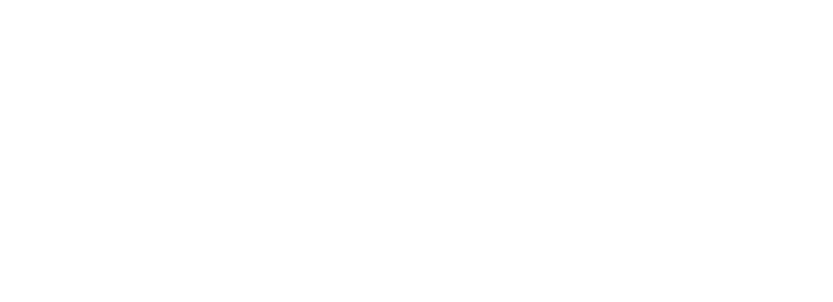 statenvegnesen