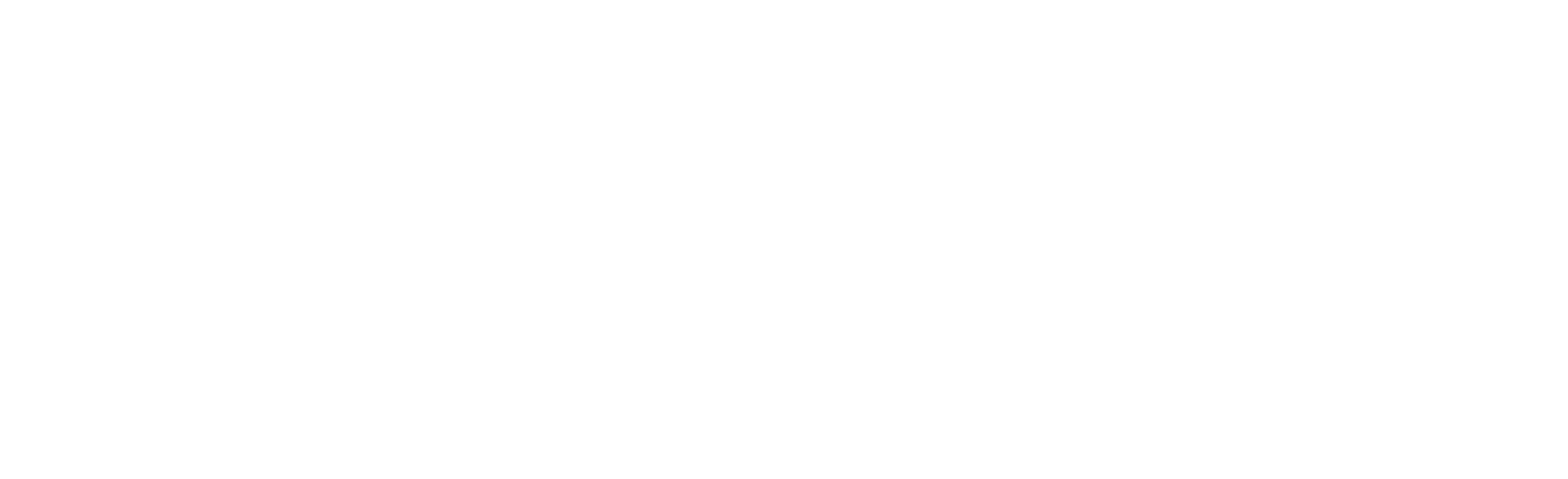 Main_logotype_white_RGB_300ppi