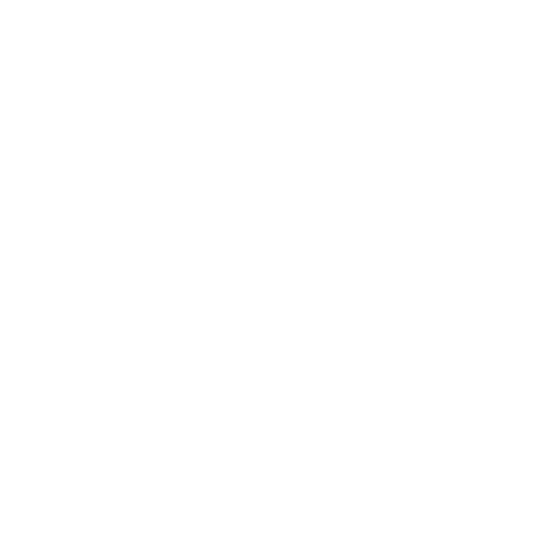 Insight_icon1
