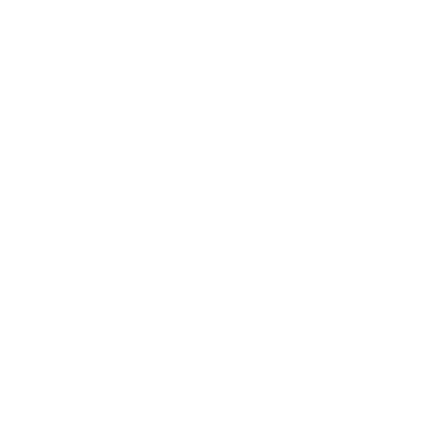 Network_icon