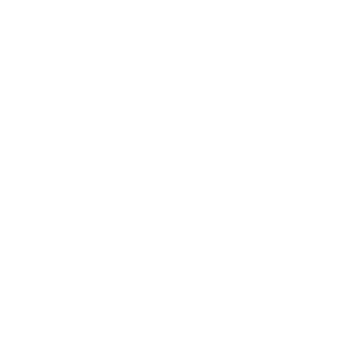 PI2021_Bus