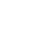 Partner_Vivicta