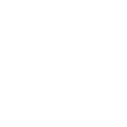 Intek