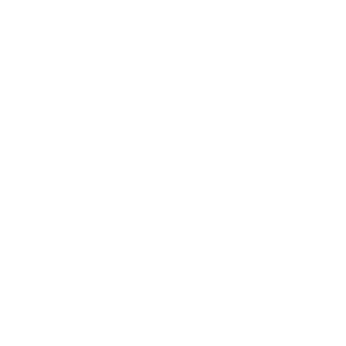 Partner_Logos_Rema-1000-list