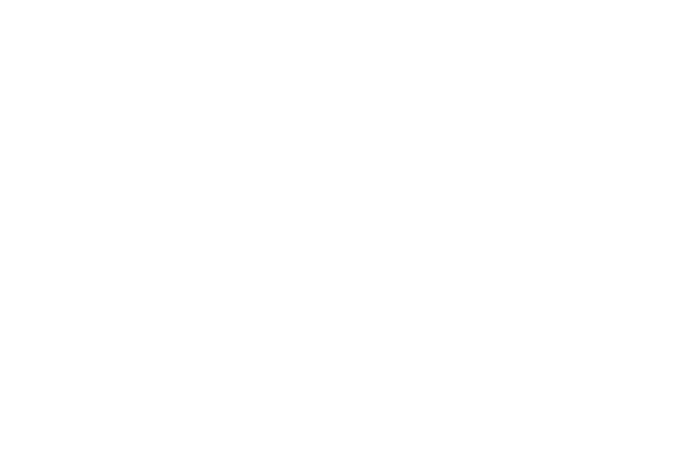 Porsche-White-OEM-Logo