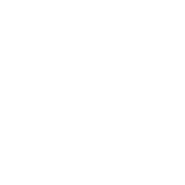 main_partner_ibm