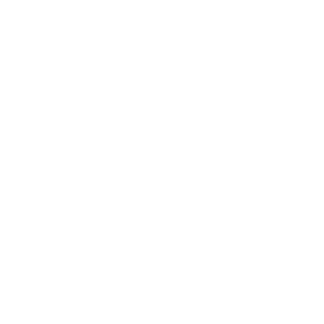 main_partner_pwc