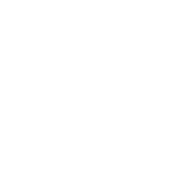 partner_deloitte