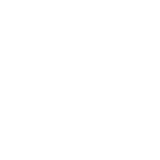 partner_iese