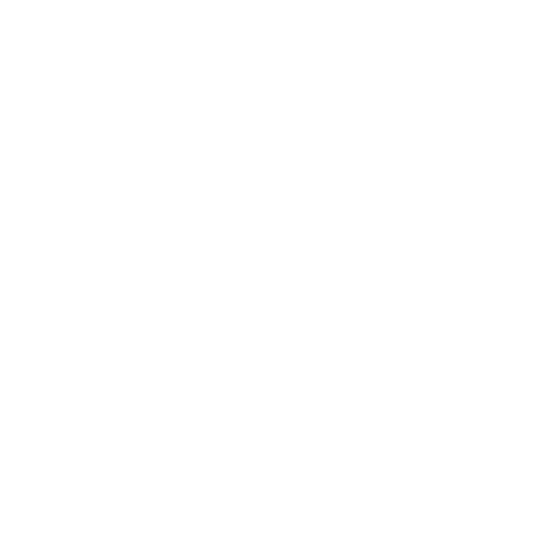 partner_workday